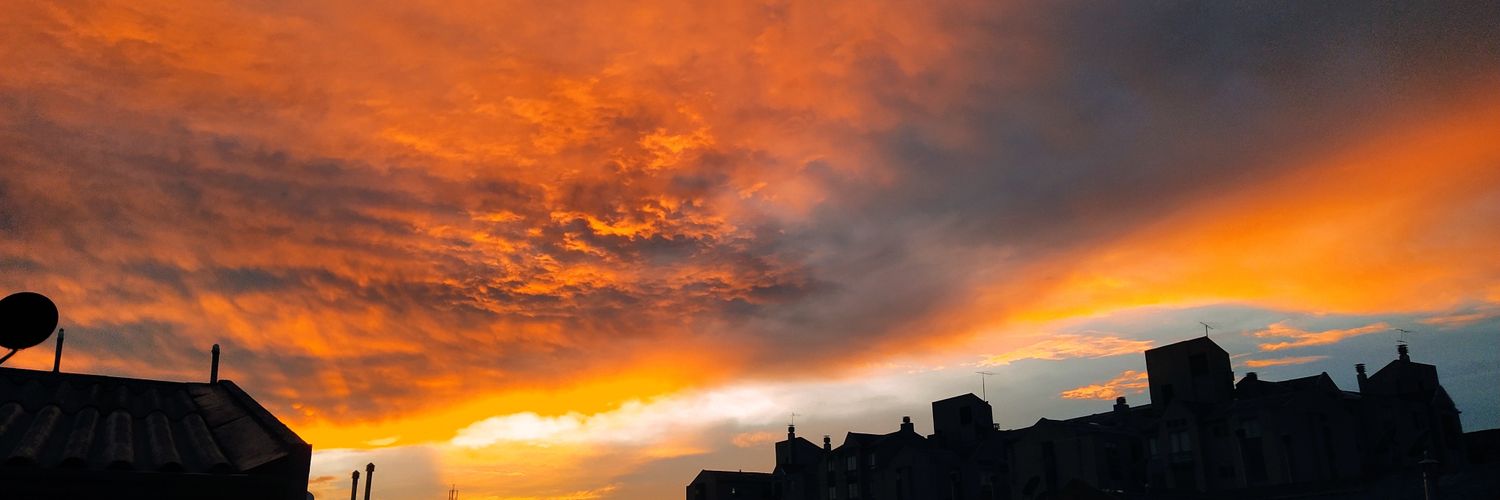 macairodonte's profile banner image