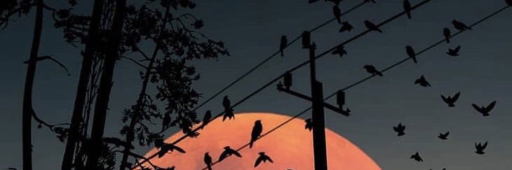Hernan_UE's profile banner image