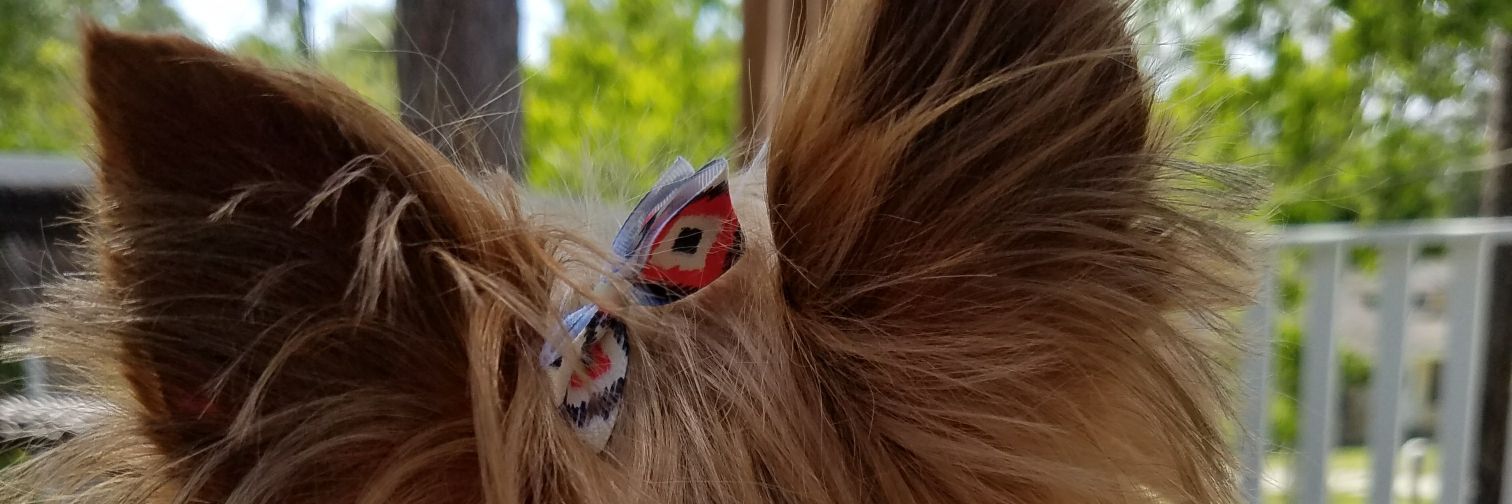 Phoebe_Nix's profile banner image