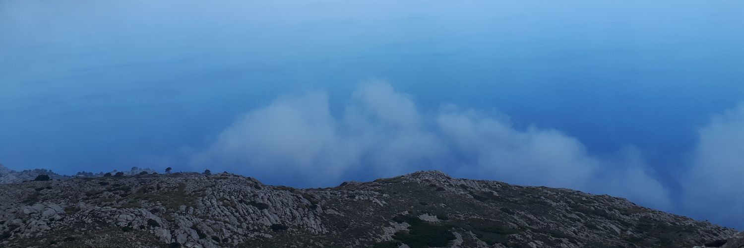 rosacerasa's profile banner image