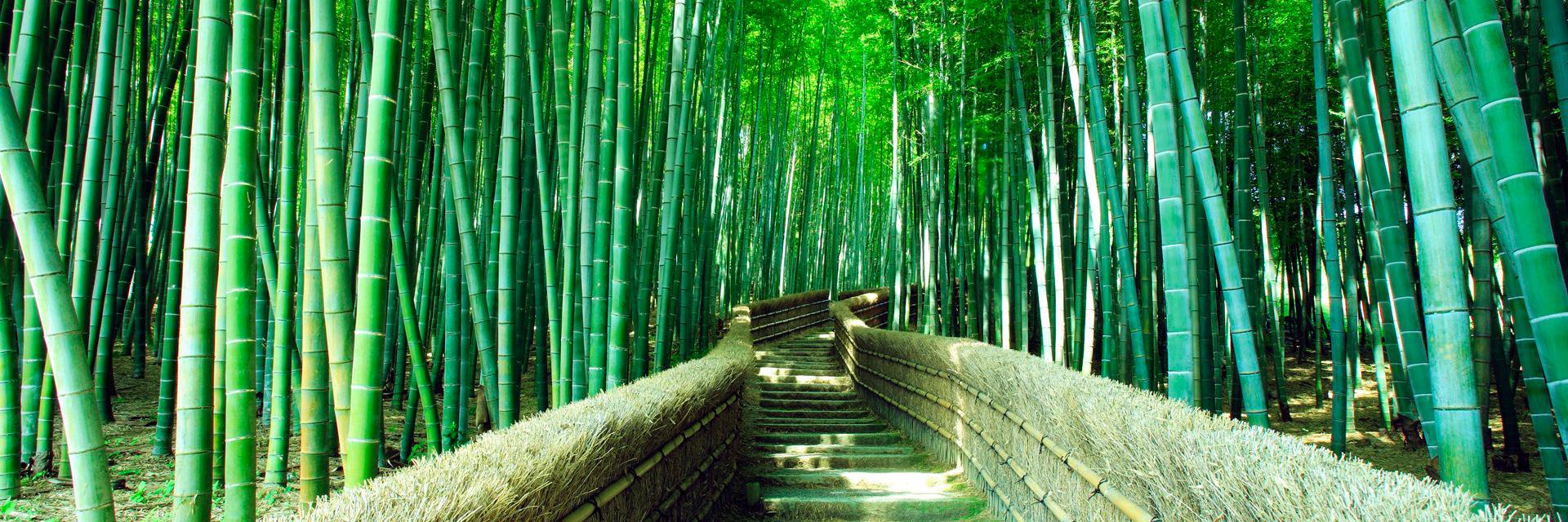 Cristian Peñaloza banner