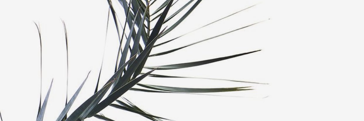 RissaaFelixx's profile banner image