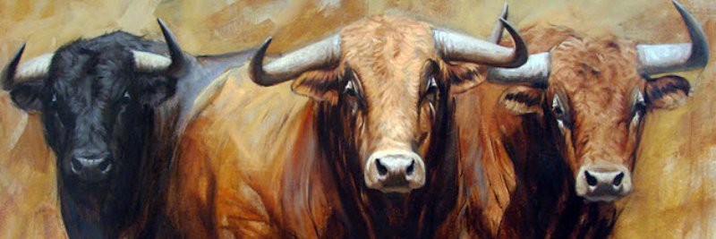 vejotaele's profile banner image