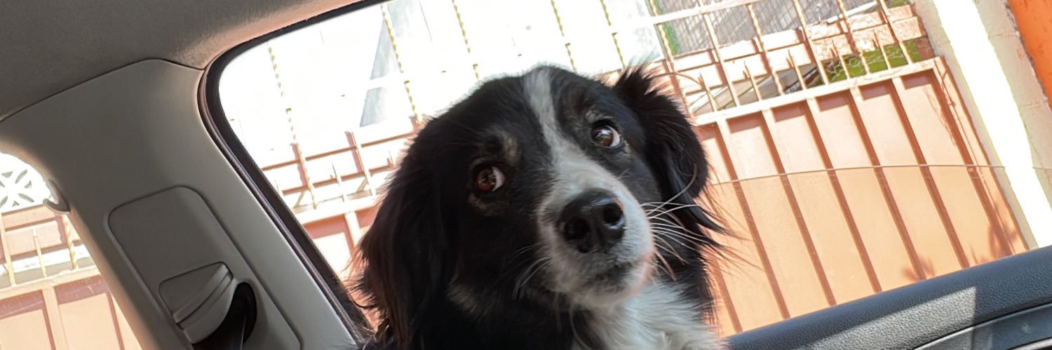 zudu's profile banner image
