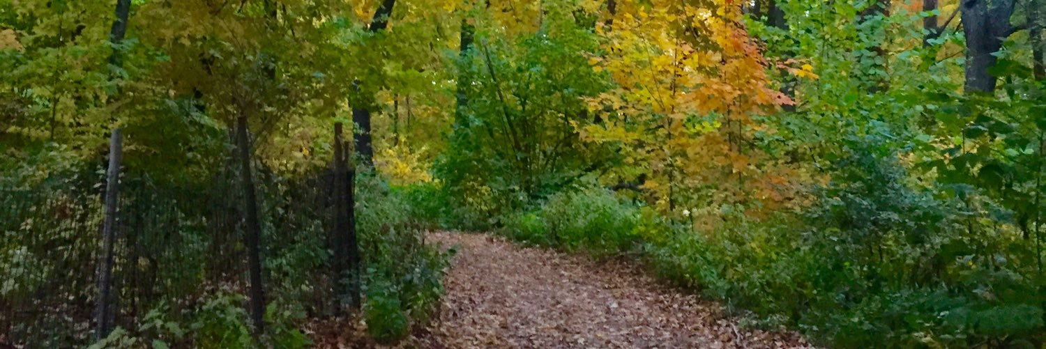 RealBBiatch's profile banner image