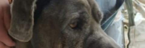 nseijas's profile banner image