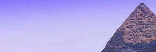 raybellerose's profile banner image