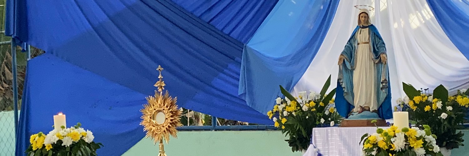 junialaila's profile banner image
