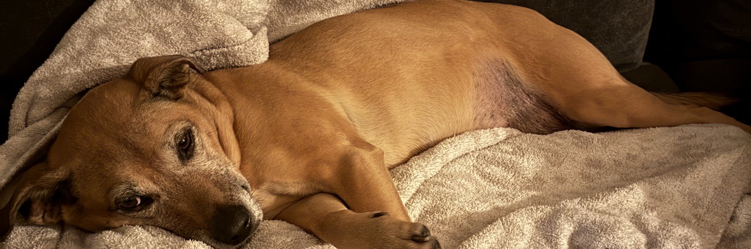 joebuck421's profile banner image