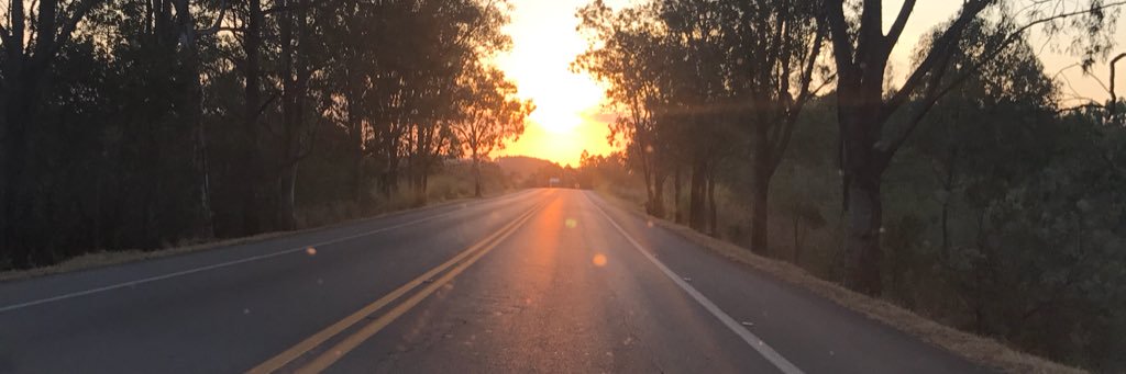 Fábio Vinicius 🌵 banner