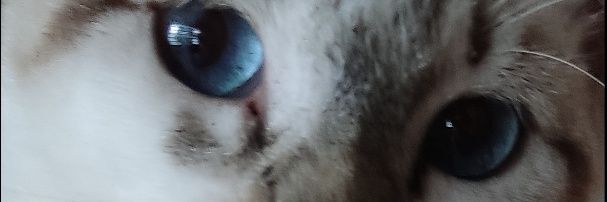 emitere's profile banner image