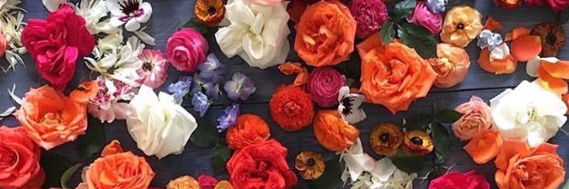 abbekins's profile banner image