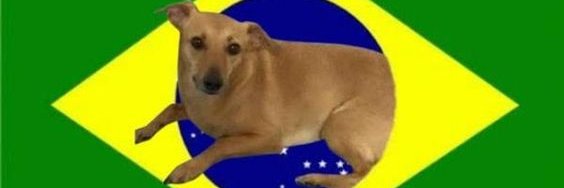 Filosophista's profile banner image
