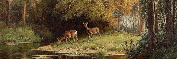 yddor_ Profile Banner