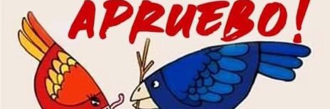 merceitu's profile banner image