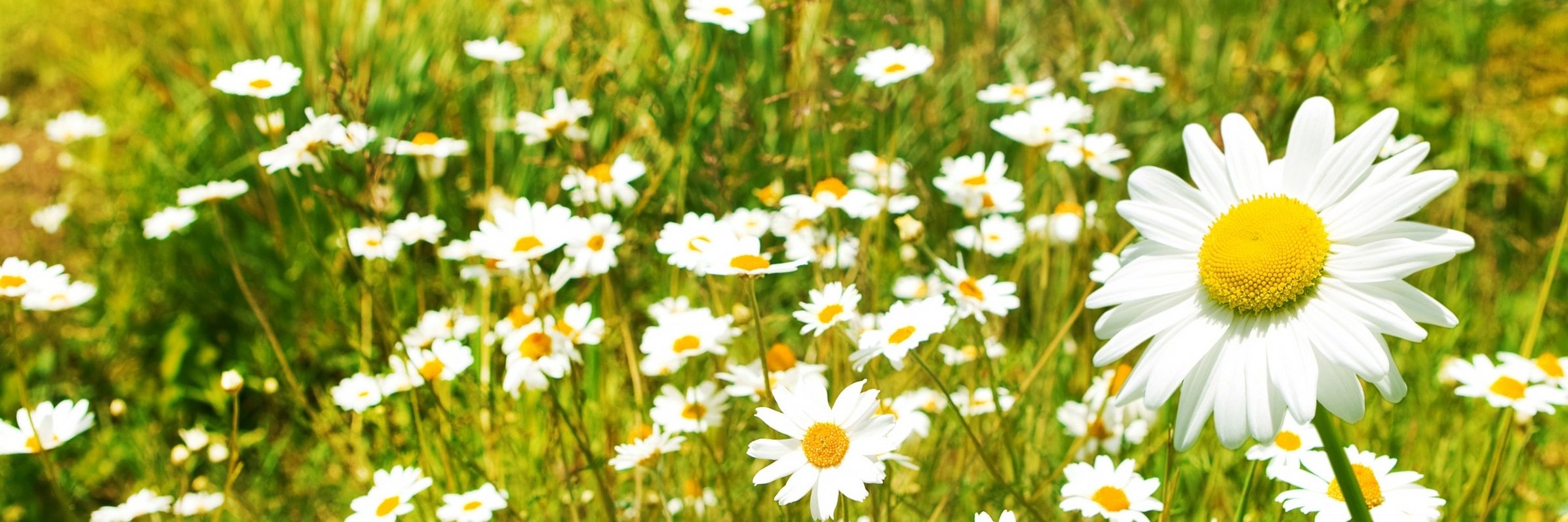 NicoleHuff's profile banner image