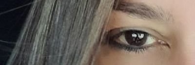 Elenita banner