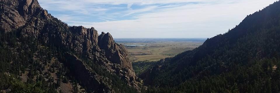 PDXterp's profile banner image