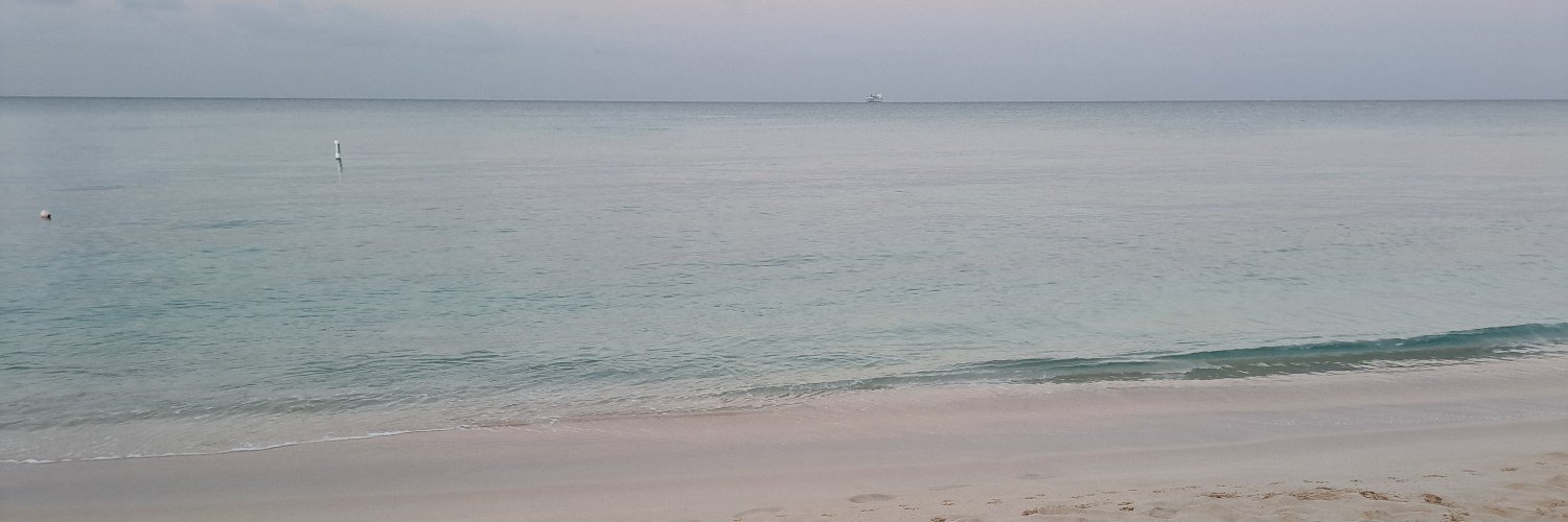 Lyric246's profile banner image