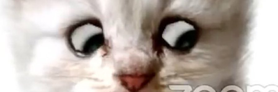 a y (big glass enthusiast) banner