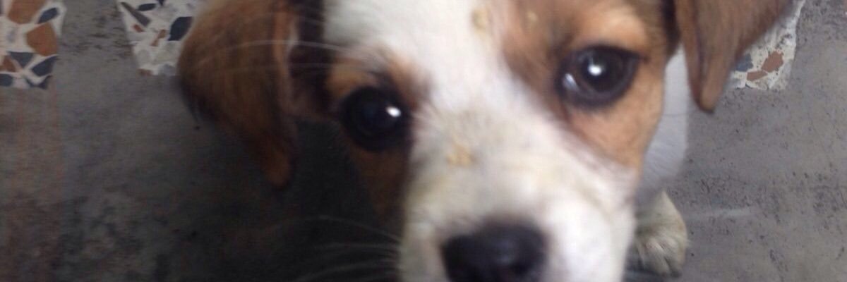 AngiLove1990's profile banner image