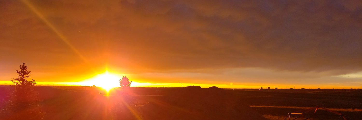 SmallCapsGirl's profile banner image