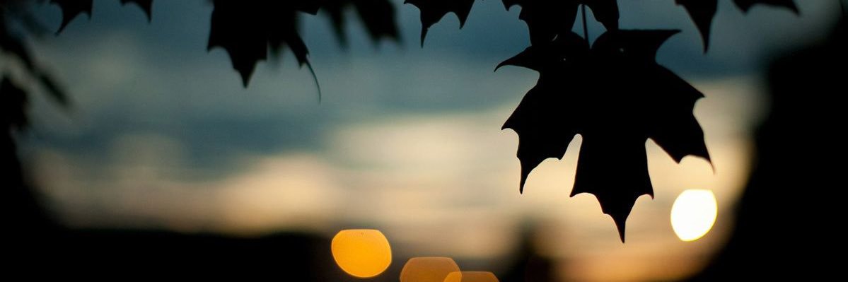 sunaza's profile banner image