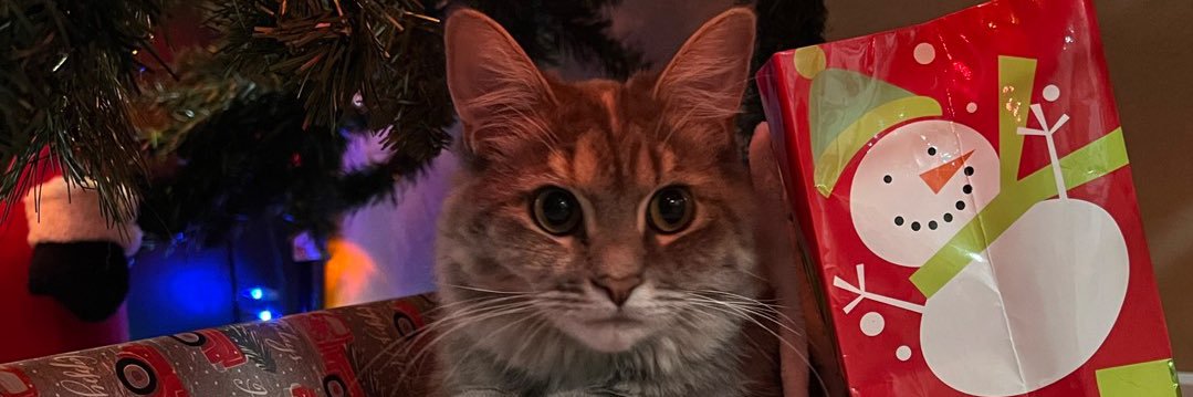 JohnGlass_'s profile banner image