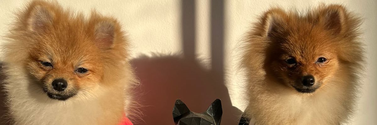 eder________'s profile banner image