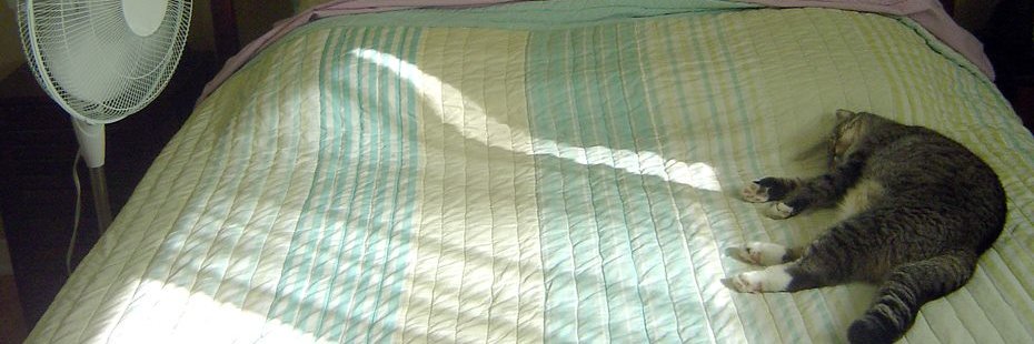 S O'Neill banner