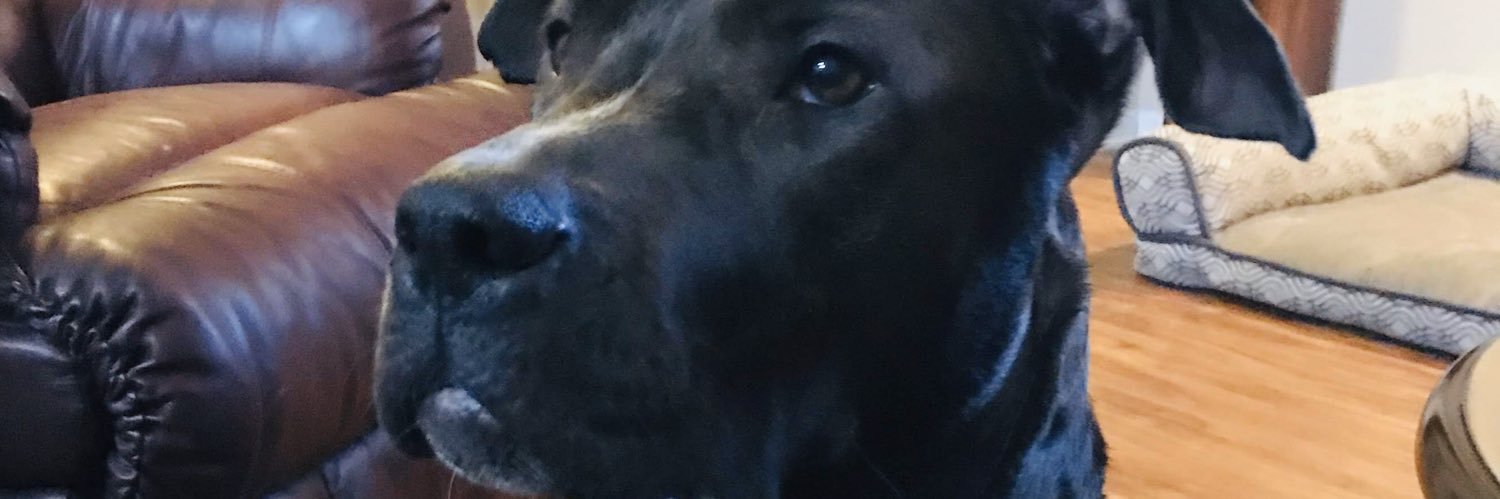 gmoguel's profile banner image