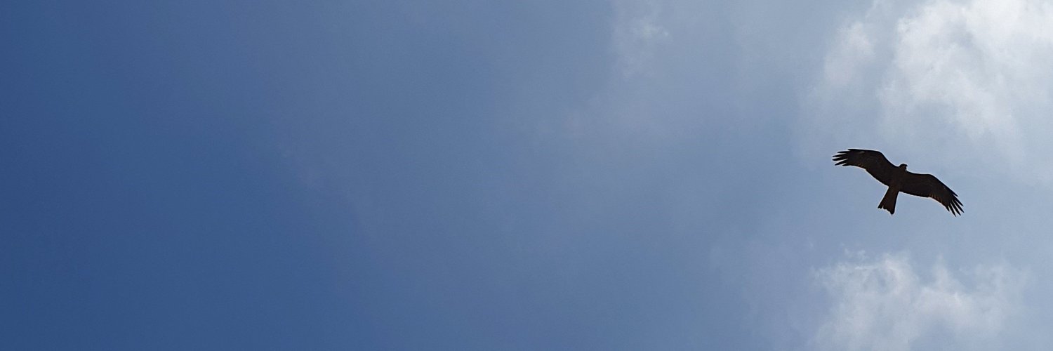 B2B Mktr banner