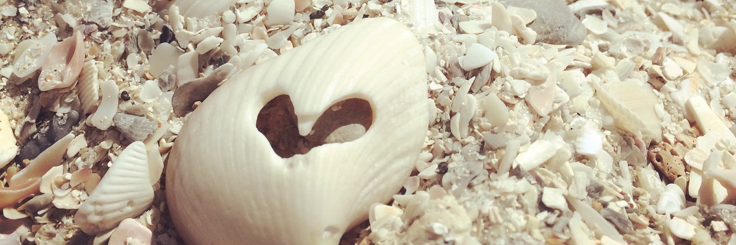 BethyyyBoo91's profile banner image