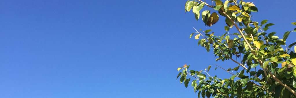 FYIbebit's profile banner image