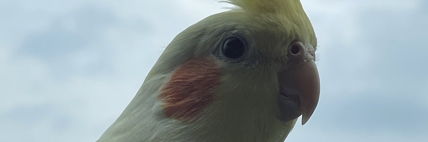 ayapata's profile banner image