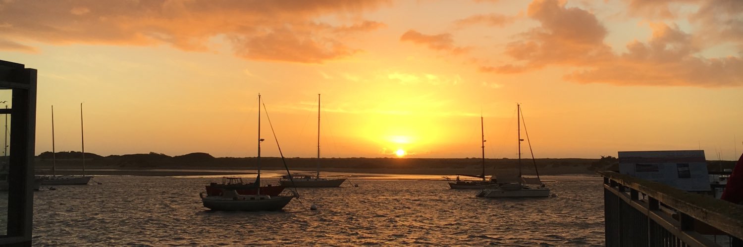 mollburch's profile banner image