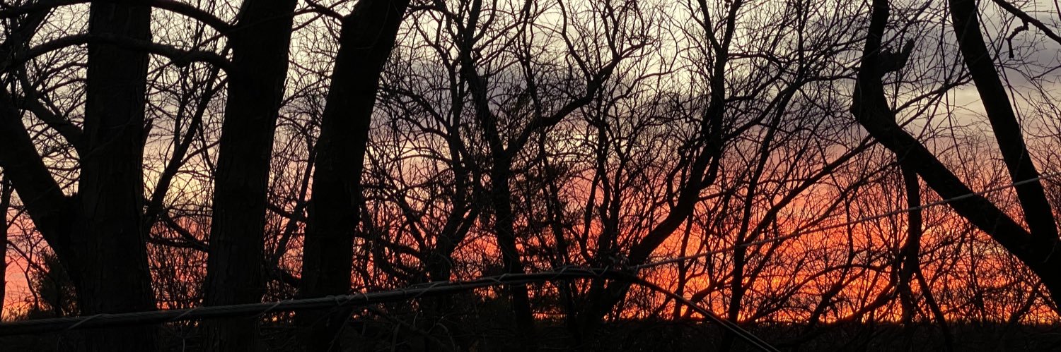 suhr's profile banner image