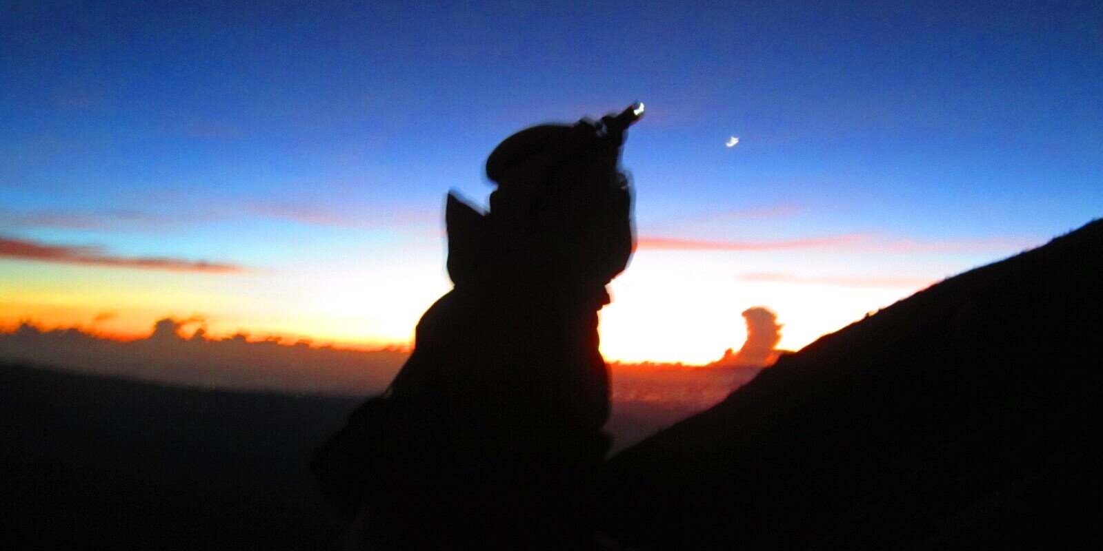 tikaashrn's profile banner image