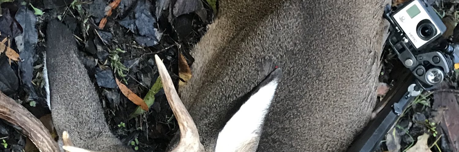 Booboy’s outdoor adventures banner