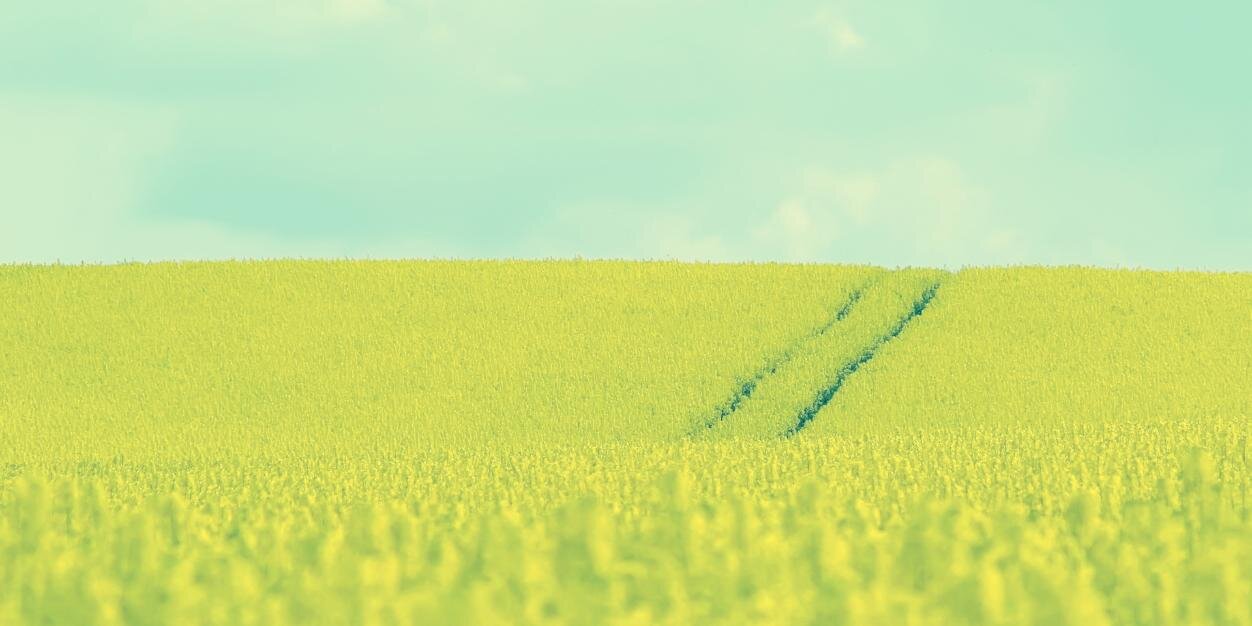 wviin's profile banner image