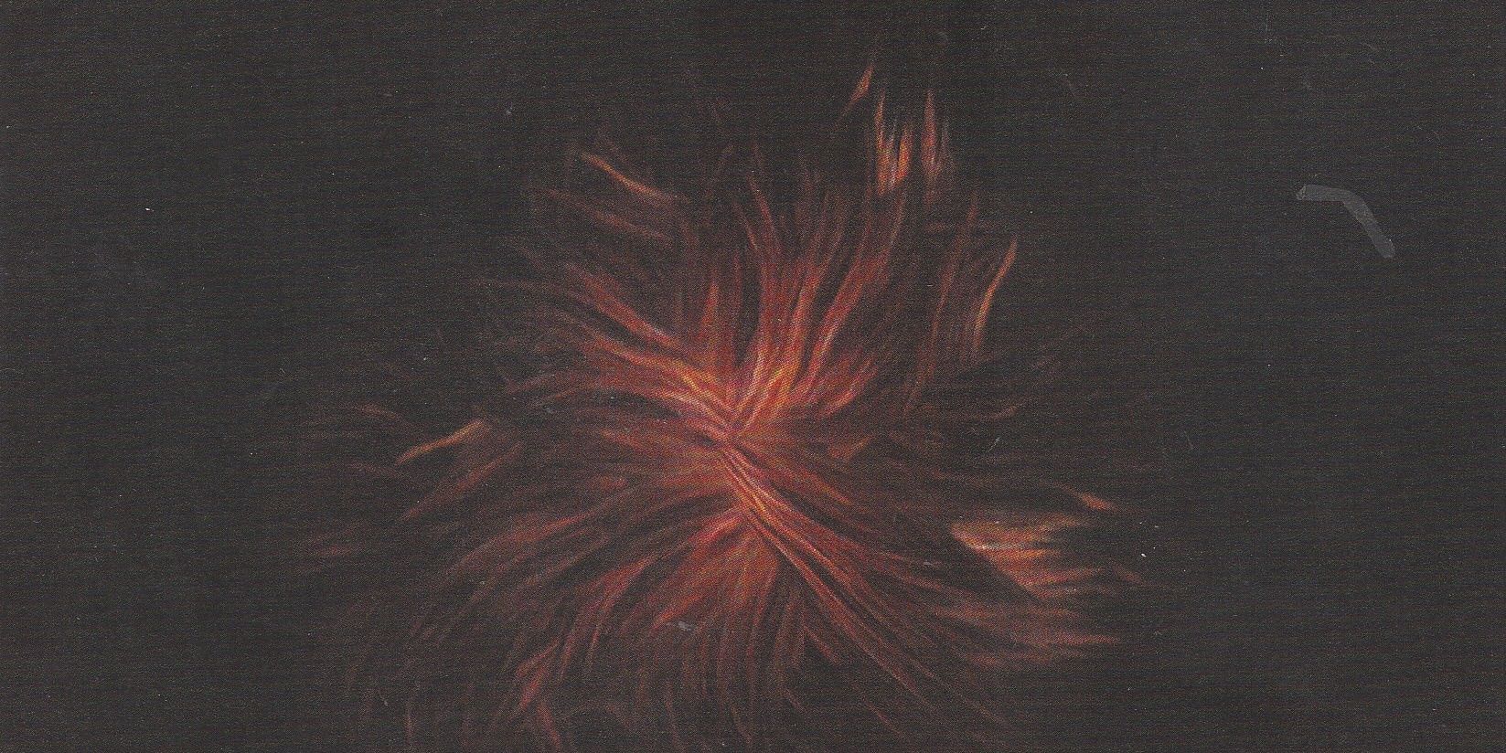 actually you're embarrassing YOUR self banner