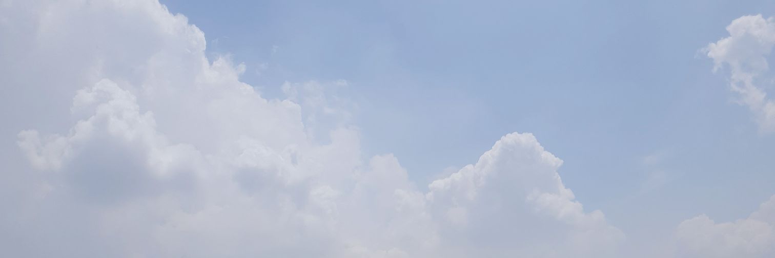 evaazheng's profile banner image