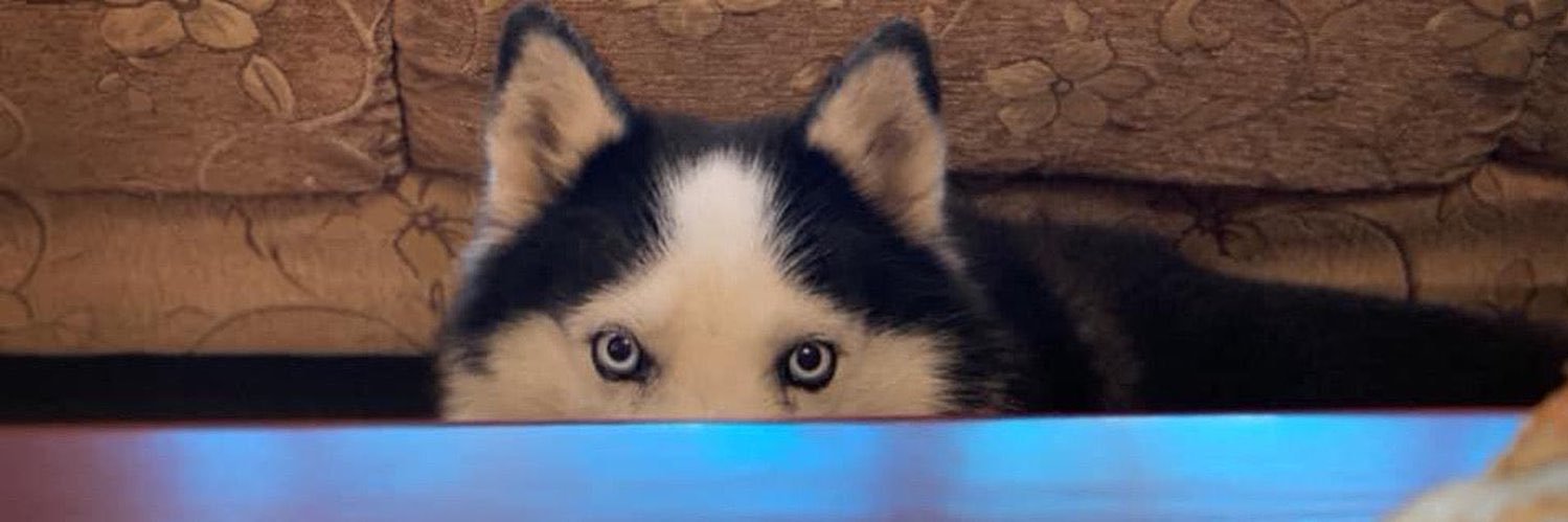 F L A M E 🔥 banner