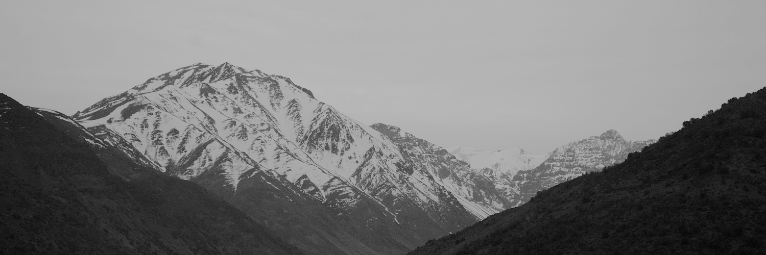 treeserver's profile banner image
