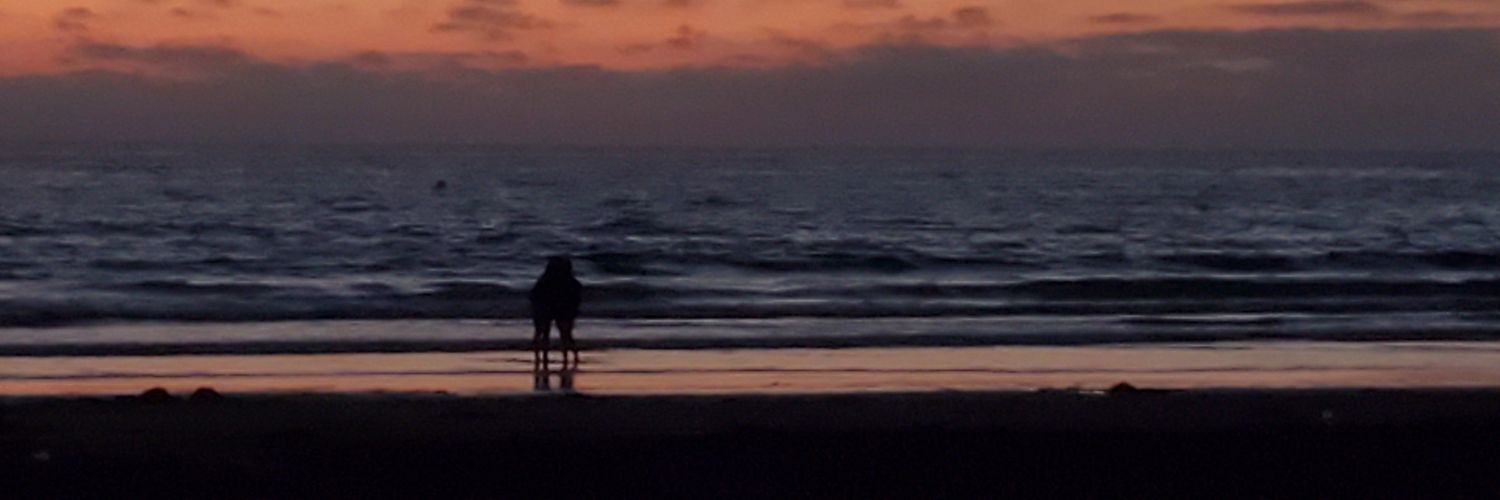 ElectronWave's profile banner image