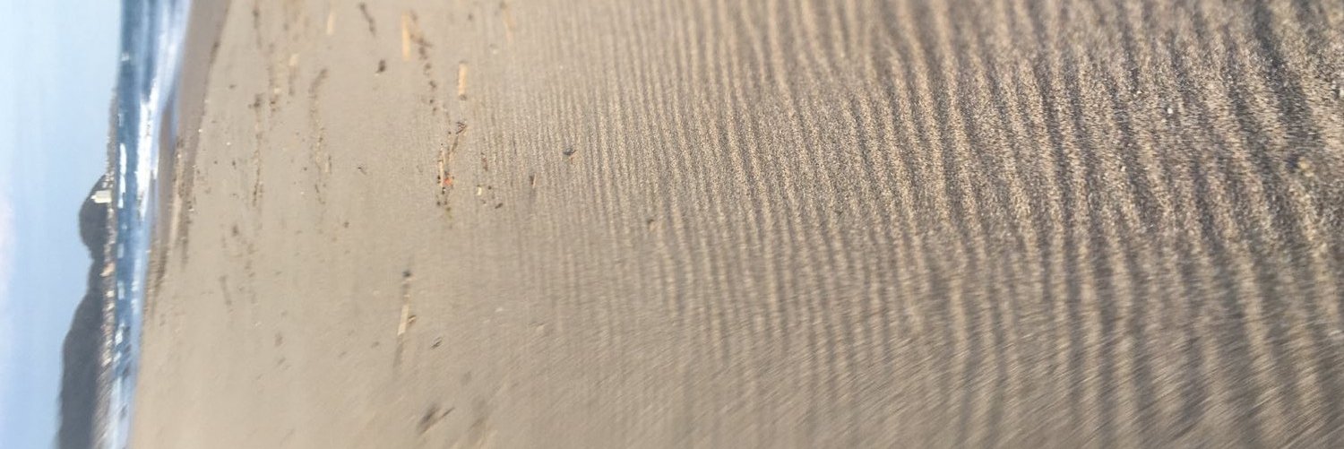sdlxbeer's profile banner image