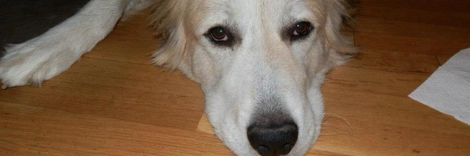 remy7143's profile banner image