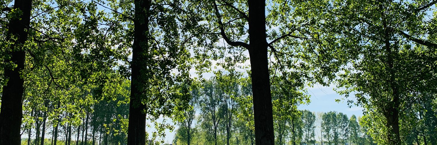 mitchgoos's profile banner image