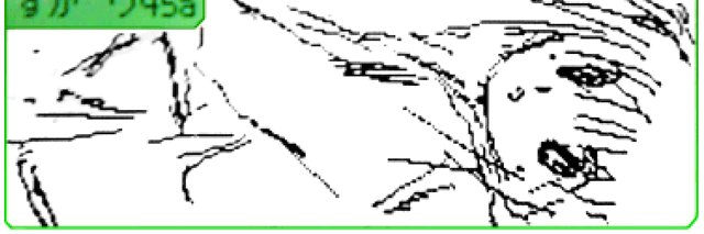 squirrels9's profile banner image