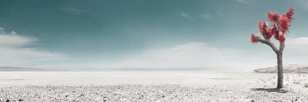 rbert77's profile banner image